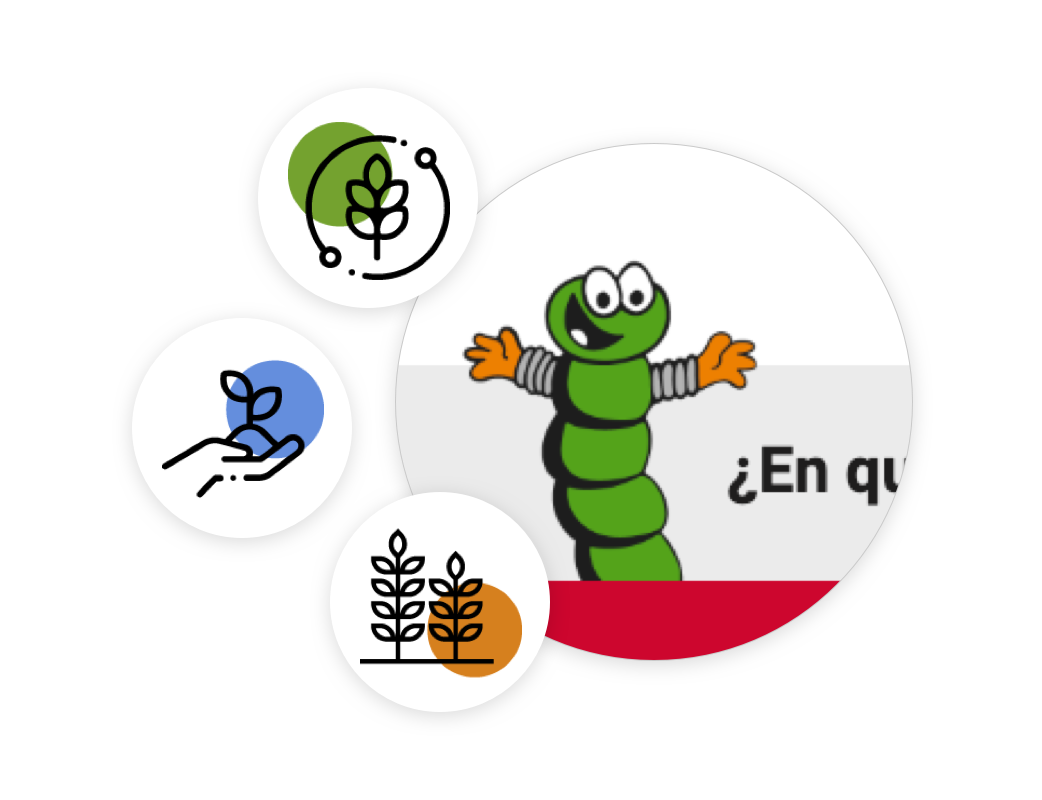elementos-graficos-web-cupasa